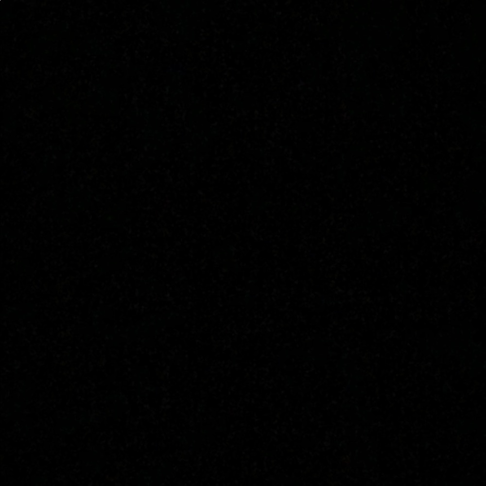 Meet your Posher, Ivy